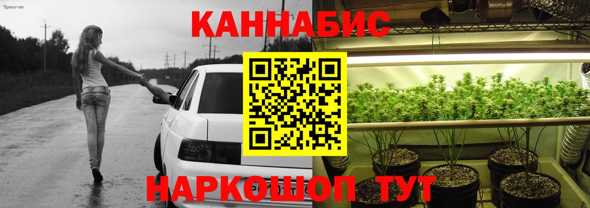 Конопля план Сланцы